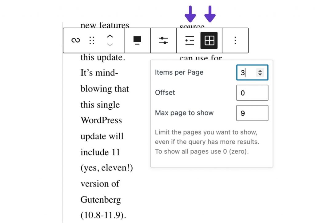 Query loop display parameters in the top bar